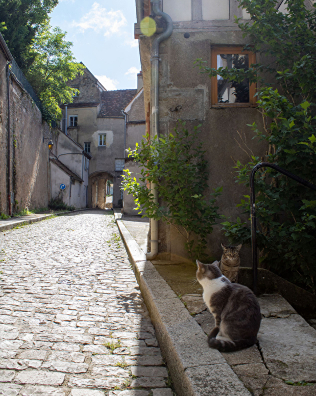 Un Site Patrimonial Remarquable Terres D Auxois Tourisme